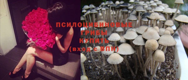 Альфа ПВП Аркадак