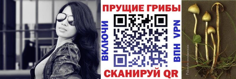omg вход Чернушка Галлюциногенные грибы прущие грибы