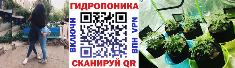 наркотики  Чернушка  Шишки марихуана марихуана 